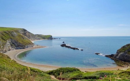 World Nature Conservation Day 2023: How to Protect the Earth and Other Ways to Help the Planet