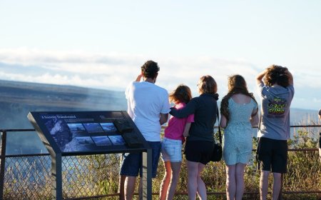 Are You a Creative Artist? Earn a Free Stay at a U.S. National Park