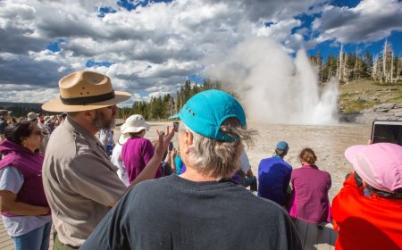 Yellowstone Sets New Visitor Record in June 2023