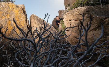 How Bear Grylls Survives on a Desert Island