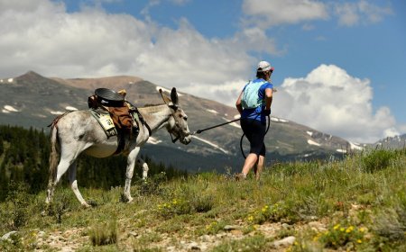 Looking for a New Way to Get Outdoors? Give Pack Burro Racing a Try