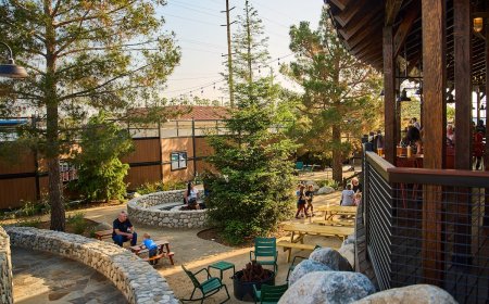 This Brewery’s Whole Vibe Is Camping, and We Love It