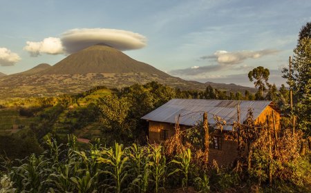 Want to Stay Inside a National Park? Check out these 10 Awesome Lodges