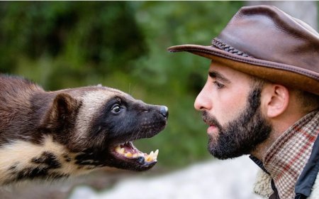 10 Times Coyote Peterson Experienced Painful Stings and Bites for Your Viewing Pleasure
