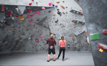 Watch: Rock Climbers Rescue Trapped Bird
