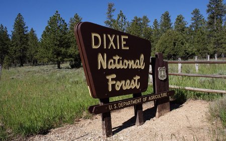 How and Why You Should Visit Red Canyon in Utah’s Dixie National Forest