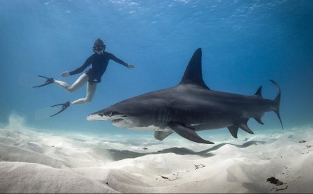 7 Extreme Outdoor Jobs that Are Definitely Not for Everyone