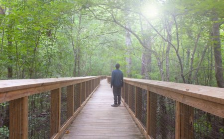 Don’t Wait: Plan Your Winter National Park Visit Now