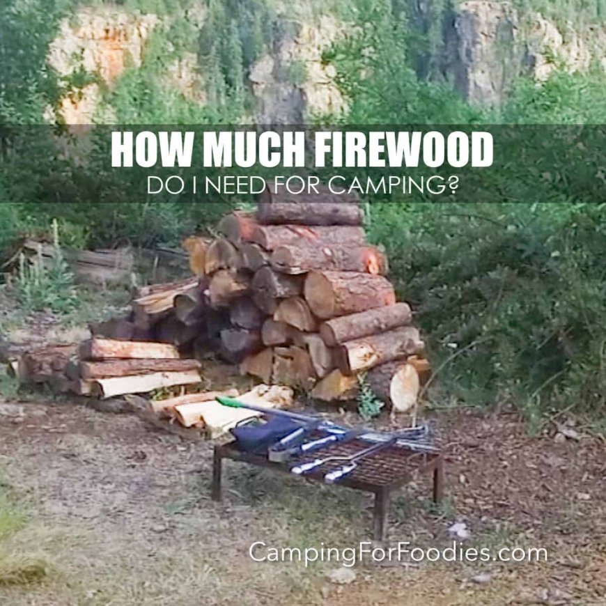 How Much Firewood Do I Need For Camping: Best Types To Burn