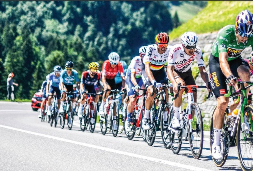 Catch Up Now On This Year’s Tour de France