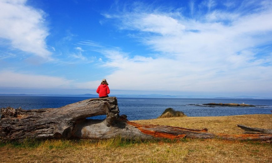 Why Are Some U.S. National Parks Seeing Fewer Visitors, While Others Are Gridlocked?