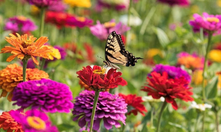Bees, Butterflies, and the Earth Will Love You If You Plant These in Your Garden