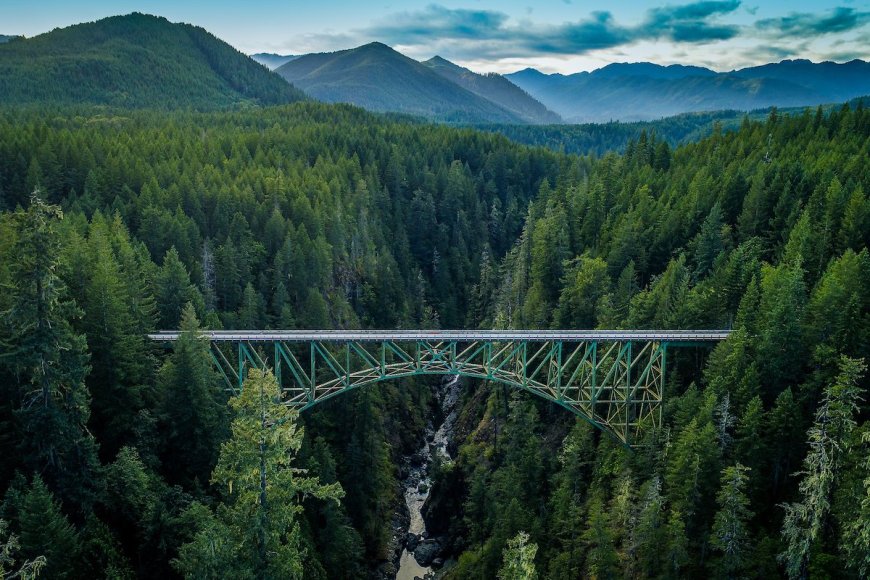 A Traveler’s Guide to Washington’s High Steel Bridge