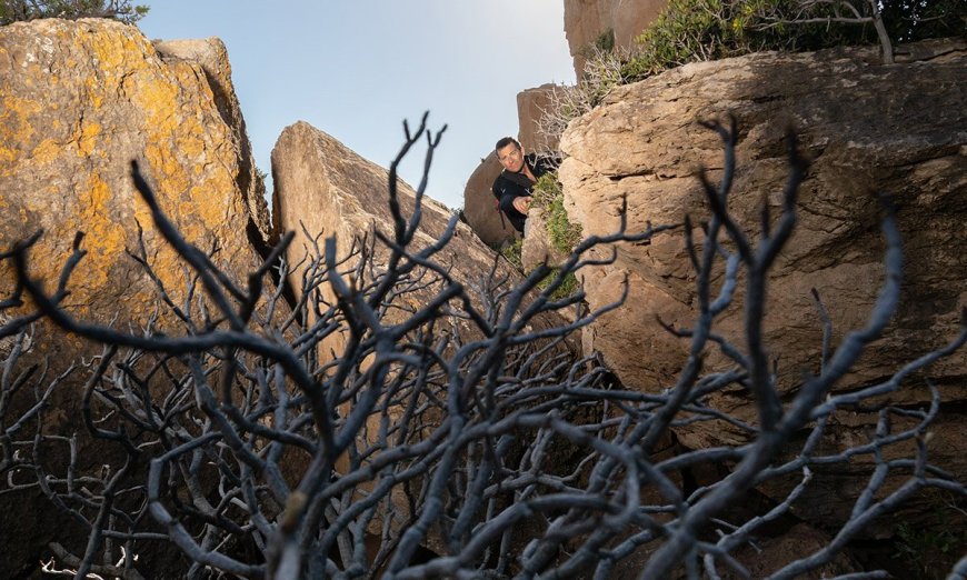 How Bear Grylls Survives on a Desert Island
