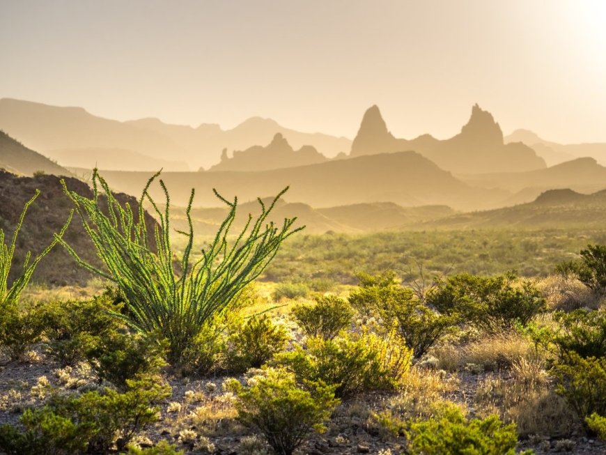 FEMA Issues Warning to Stay Indoors Due to Extreme Heat