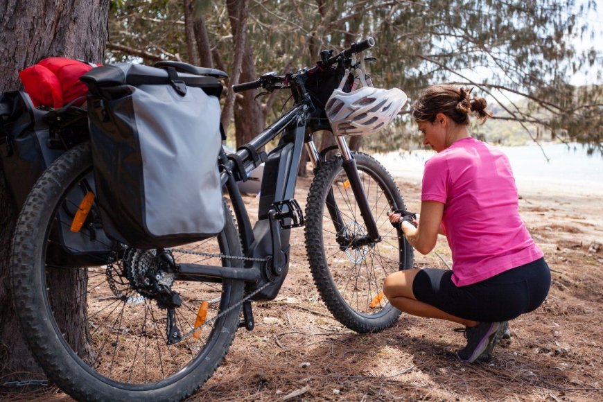 Should E-Bikes be Allowed in National Parks?