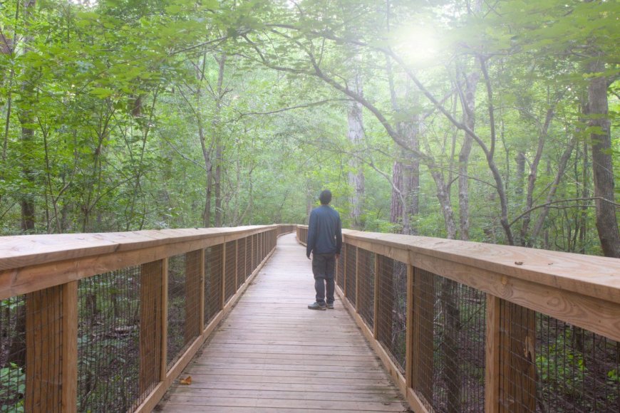 Don’t Wait: Plan Your Winter National Park Visit Now