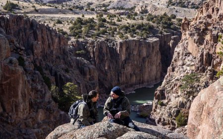 Bear Grylls on What’s It’s Really Like to Work with Celebs on ‘Running Wild’