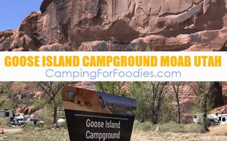 Goose Island Campground Moab Utah (VIDEO, Info & Review)