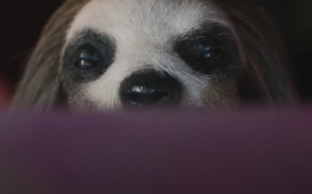 Yes, Slotherhouse Is a Real Film