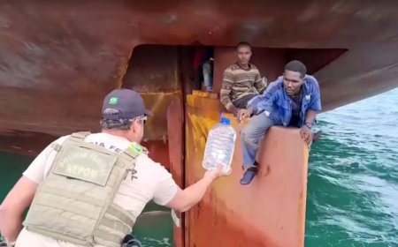 Four Nigerian Stowaways Survived 14 Days on Ship’s Rudder