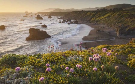 California’s Biggest Waves Are Doubling in Size Because of Climate Change