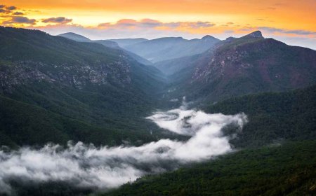 The Grand Canyon of the East: Explore North Carolina’s Linville Gorge