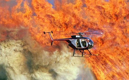 Wildfires Engulf Maui Leading to 36 Deaths and Thousands of Evacuations