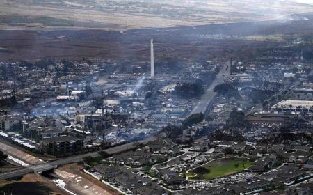 The Death Toll of the Maui Wildfires Is Increasing; Here’s How You Can Help