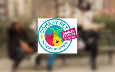 Winners of the 2023 Comedy Pet Awards Announced