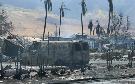 Want To Help Maui Wildfire Victims? Watch Out for Scams