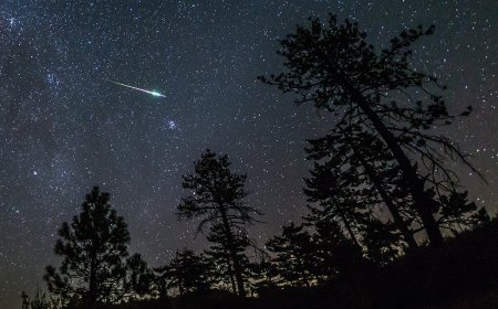 The Perseid Meteor Shower Peaks Tonight. Here’s How to See It, and Some Great Spots to Watch It