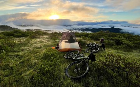 Bikepacking 101: Everything You Need to Get Started
