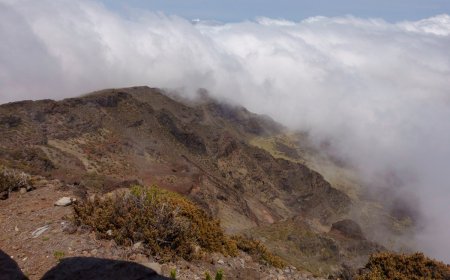 Hawaiian National Park Remains Closed as Crews Continue to Fight Wildfires in Maui