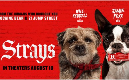 Reviews say the New Jamie Foxx and Will Ferrell Film ‘Strays’ Is Hilarious – But Where Was it Filmed?