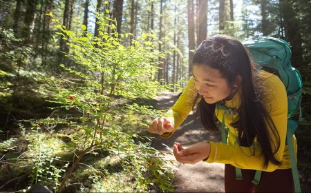 The Foolproof Four: The 4 Easiest Wild Berries to Forage