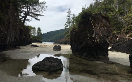 Exploring North Vancouver Island, British Columbia – Sayward to Port McNeill