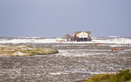Californians Are Facing Their First Hurricane in 84 Years – Here’s How to Prepare