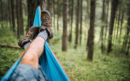 What Are the Benefits of Hammock Camping, And How Do You Get Started?