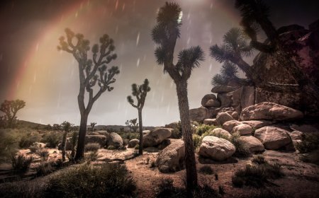 Turn Around, Don’t Drown: U.S. National Parks Impacted by Hurricane Hilary