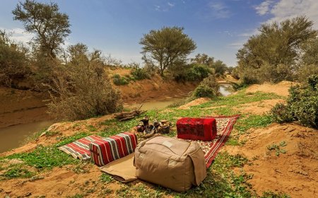 Cozy Upgrades: Rugs to Make the Outdoors Feel More Like Home