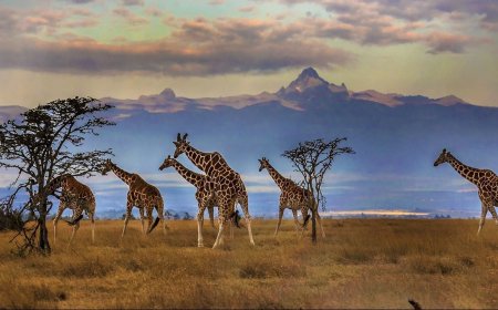 I’ve Been to 85 Countries, Here Are My Top 10 for Outdoor Fun