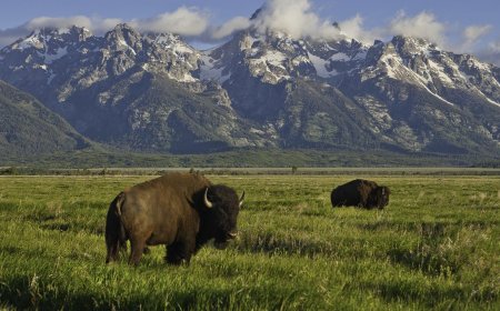 Celebrate the National Park Service Birthday with Your Story
