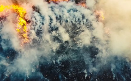 9 Worst Wildfires of This Decade