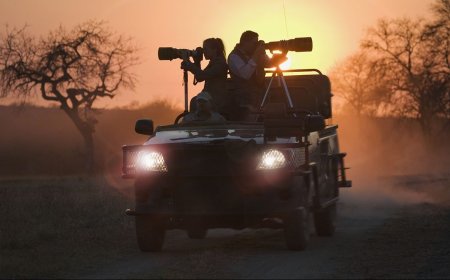 Ask Outdoors: What Are Some Wildlife Photography Ethics to Follow?