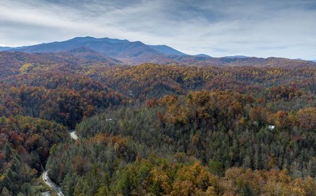 5 Things You Didn’t Know About Great Smoky Mountains National Park