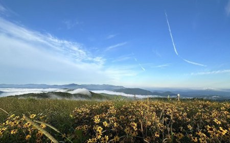8 of the Most Epic Stops along the Appalachian Trail, from McAfee Knob to Franconia Ridge