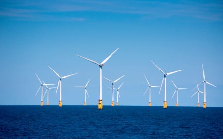 Feds Begin Auctioning Offshore Wind Energy in the Gulf
