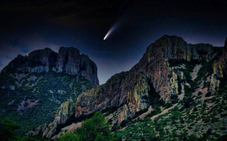 5 Things You Didn’t Know About Big Bend National Park