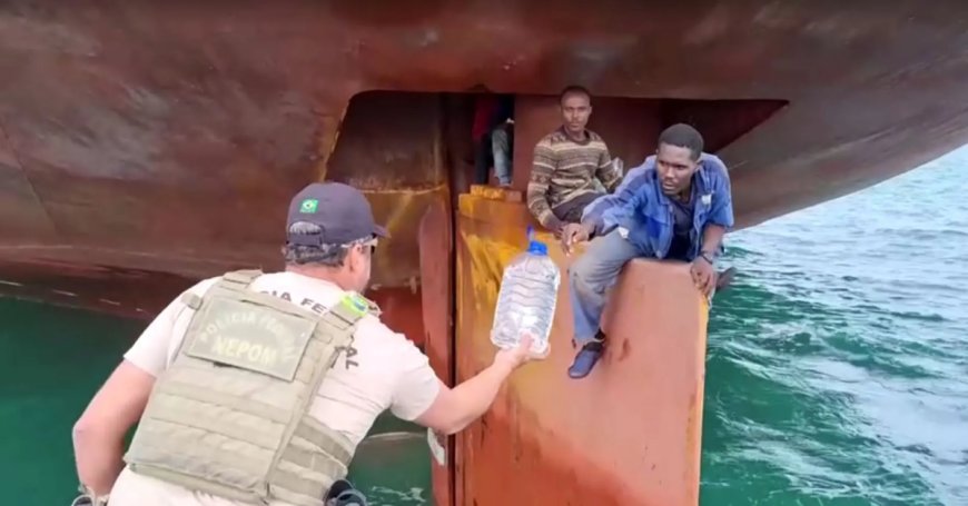 Four Nigerian Stowaways Survived 14 Days on Ship’s Rudder